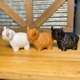 thumbnail image 4 of EIMELI Highland Cow Figurine, 4 of 5