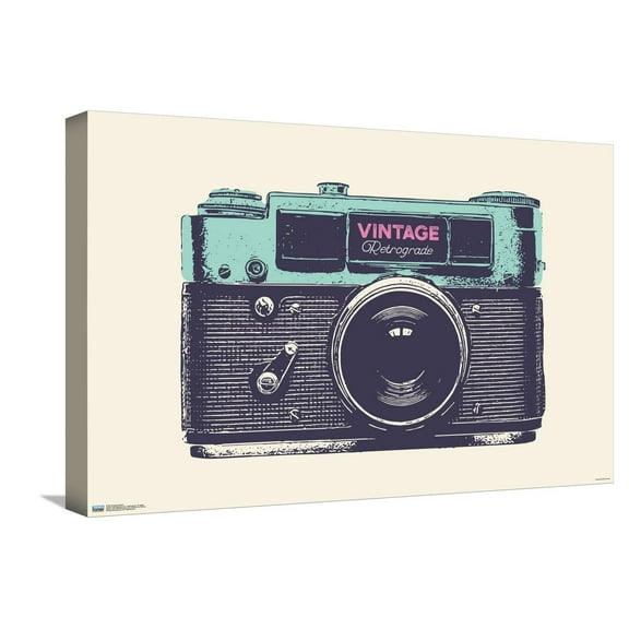 Vintage Camera Canvas Wall Poster, 14.725" x 22.375"