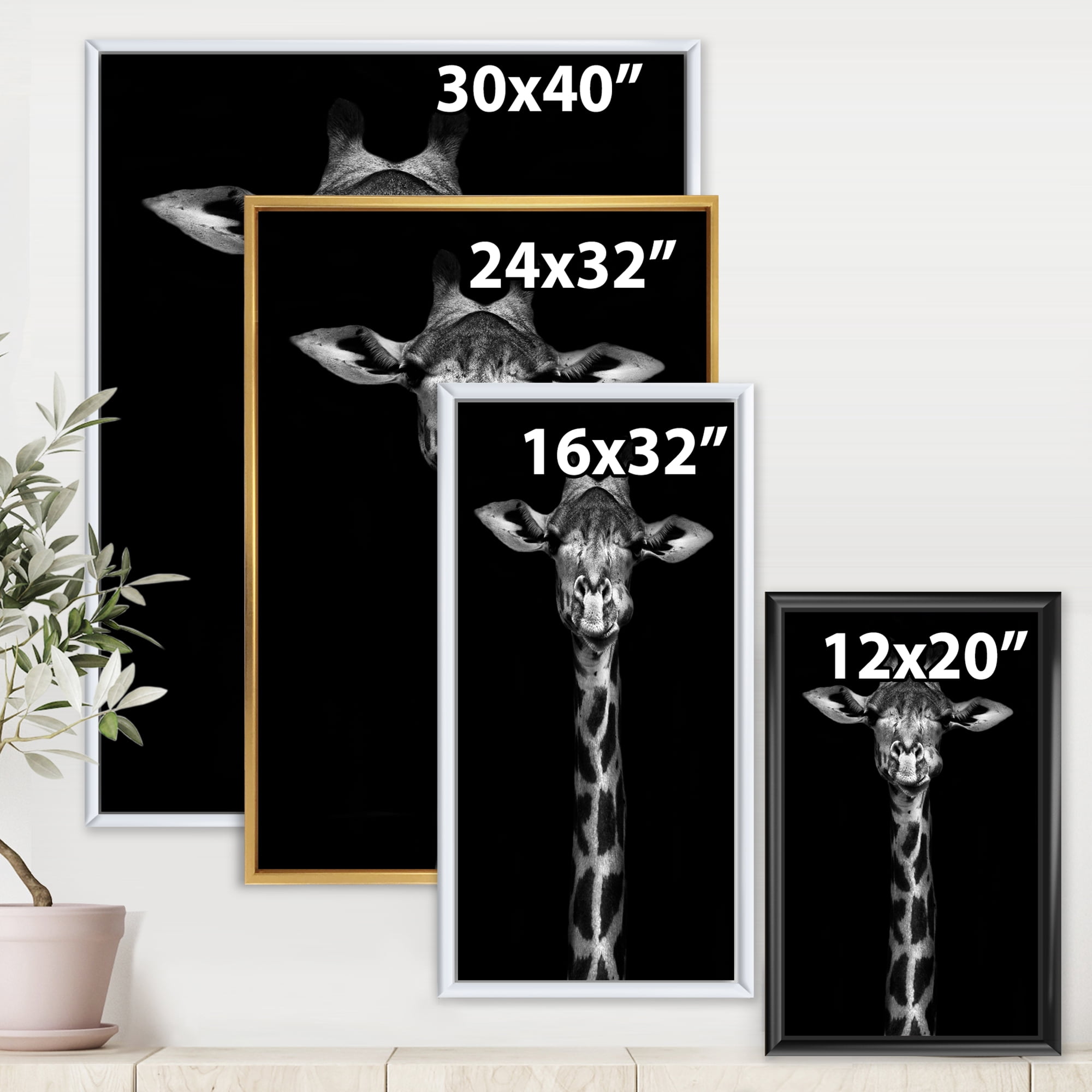 Portrait Of A Giraffe In Monochrome 16 in x 32 in Framed Painting Canvas Art Print, by Designart