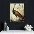 thumbnail image 5 of Nawypu Print Canvas Wall Art Great American Cock (Wild Turkey) Modern Home Bedroom Decor, 5 of 5