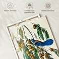 thumbnail image 6 of Elephant Stock Florida Jay Wall Art - Vertical Canvas Wall Art - Living Room Wall Decor - Animal Canvas - Beige And Gray Decor By John James Audubon - 32" x 48", 6 of 8