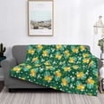 thumbnail image 2 of Disketp Tropical Fruit Flannel Blankets - Thick and Warm Blanket for Winter, Soft Fuzzy Plush King Blanket for All Seasons40"x30", 2 of 6