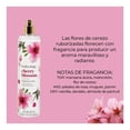 thumbnail image 4 of Fragancia Corporal de larga duración Bodycology Cherry Blossom 273 ml, 4 of 4