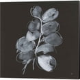 thumbnail image 2 of Great Art Now White Eucalyptus by Chris Paschke 2 Piece Canvas Art Set Each 14"W x 14"H, 2 of 3