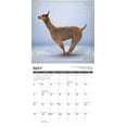 thumbnail image 3 of Llama Yoga 2026 12 X 12 Wall Calendar, (Hardcover), 3 of 5