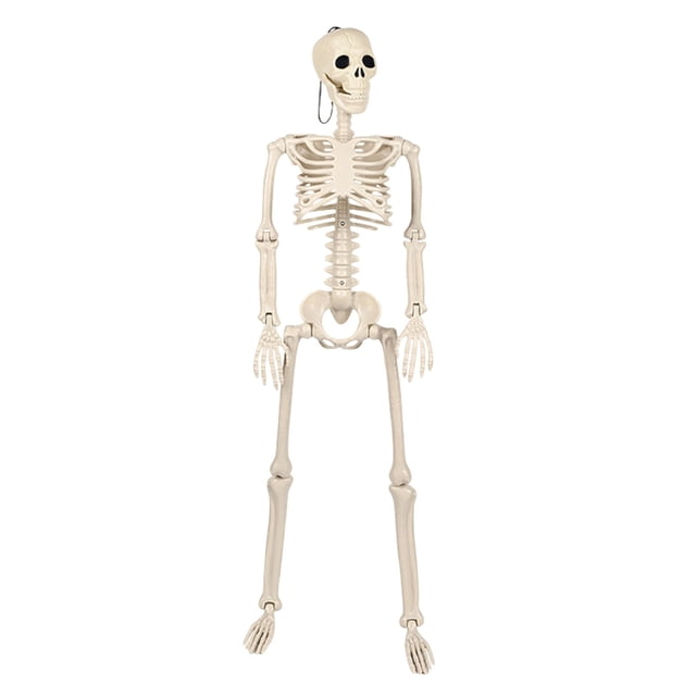 Halloween Plastic Skeleton With Movable Joints 93X24Cm For Escape Room Setup Classroom Teaching Aid Decor Hanging Display In White Finish