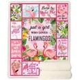 thumbnail image 4 of Flamingo Blanket Throw,Flamingo Gifts for Women,Pink Flamingo Gifts for Girls Blanket,Flamingo Christmas Decorations Gifts,Cozy Flamingo Themed Gifts Blanket for Sofa Couch Beds Décor, 4 of 6