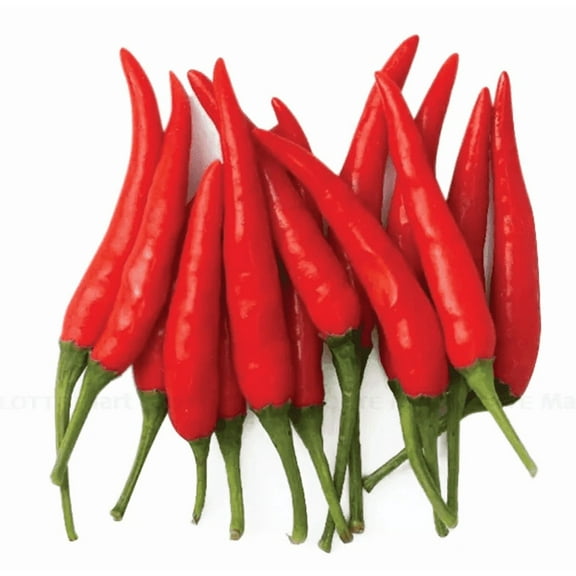 100  Vietnamese Chili Hot Pepper Seeds - Ớt Hiểm - Heirloom, Non-GMO by Mai's Family