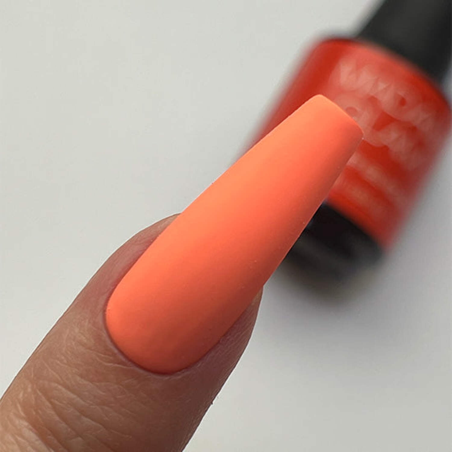 Orange Poppy