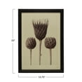 thumbnail image 2 of Creative Co-Op Wood Framed Artichoke Print with Glass Cover, Multicolor, 2 of 2