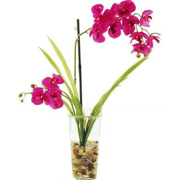 Designs by Lauren 16W29 Orchidées Phalaenopsis de 22 Pouces Attachées à un Piquet en Bambou dans un Vase en Verre avec des Roches de Rivière et de l'Eau Acrylique