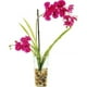 Designs by Lauren 16W29 Orchidées Phalaenopsis de 22 Pouces Attachées à un Piquet en Bambou dans un Vase en Verre avec des Roches de Rivière et de l'Eau Acrylique – image 1 sur 1