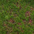 thumbnail image 4 of Alfombra de musgo artificial: Césped de musgo para manualidades - 30 cm x 1 m, césped verde decorativo para plantas de interior, decoración del hogar y terrarios, 4 of 7