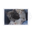 thumbnail image 2 of Three Kittens, 2 of 3
