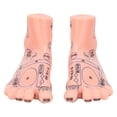 thumbnail image 2 of Foot Reflexology Model, Foot Acupuncture Teaching Model  Teaching Tool  For Family For School For Clinic For Hospital, 2 of 8