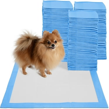 Paws & Pals Large 5-Layer Leak-Proof Pet Training Pads, 22 in x 22 in, 150 Count