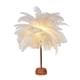thumbnail image 2 of Lámpara de mesa con plumas | Luz nocturna LED con pilas y alimentación por USB | Lámpara de noche portátil para dormitorio, sala de estar, bodas, fiestas o decoración navideña, 2 of 8