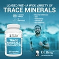 Dr. Berg Trace Minerals Enhanced Complex, 60 Capsules