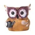 thumbnail image 5 of Owl Flower Pot Statue Decor Owl Flower Pot Figurine Cute Owl Flower Pot Sculpture for Entryway Tabletop Decoration Craft Anniversary Gift, 5 of 9