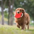 thumbnail image 6 of Ovzne Cloth Rope Pet Flying Disc – Soft, Durable Safe Dog Toy For All Breeds, 6 of 6
