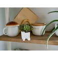thumbnail image 6 of Clever Contraptions LEGGI Sitting Succulent & Cactus Planter Pot – Small, 6 of 10
