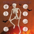 thumbnail image 4 of TETOU 2 Packs Halloween Skeletons, 14.9" Halloween Full Body Skeleton with Posable Joints for Haunted House Graveyard Props Decor, 4 of 7