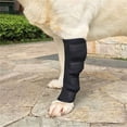 thumbnail image 4 of Large Dog Knee and Elbow Protector for Agility and Recovery Anti Licking Bandage, 4 of 4