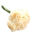 thumbnail image 1 of Flor de seda artificial Clavel 6 cabezas / ramo para la decoración del hogar del banquete de boda seitruly JJ7553-06, 1 of 3