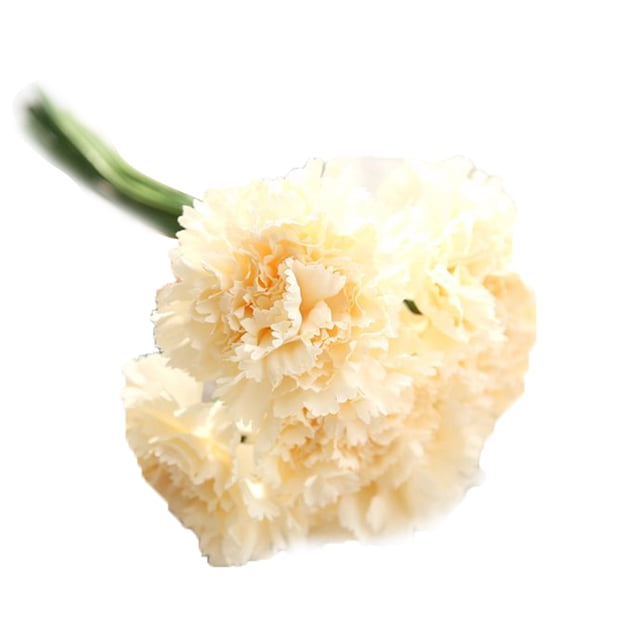 Flor de seda artificial Clavel 6 cabezas / ramo para la decoración del hogar del banquete de boda seitruly JJ7553-06