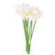 thumbnail image 1 of BRIGHTFUFU 10 ramos de flores artificiales de cala de poliuretano, elegantes y realistas, para novias y bodas (blancos), 1 of 7