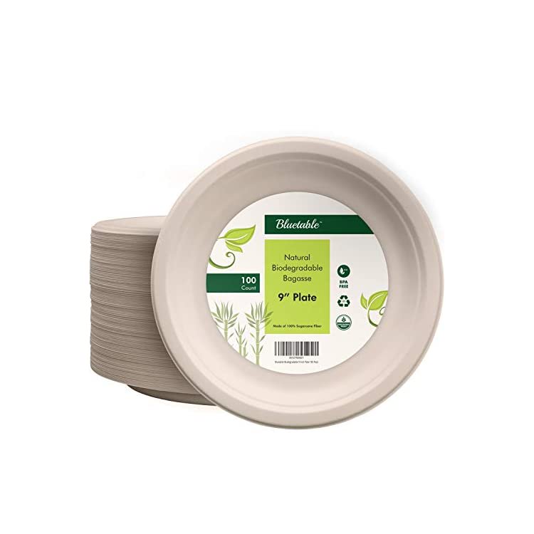 Compostable Plates 9 Inch Biodegradable Paper Plates Made from 100