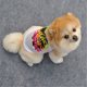 thumbnail image 5 of Methold Ropa Chalecos de verano Sudaderas con capucha de árbol Disfraces Abrigo elástico Accesorios de belleza para perros pequeños Chihuahua Type3 NO3 Methold PT003729-02B, 5 of 6