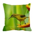 thumbnail image 1 of EREHome Hummingbird Pillowcase Home Decor Pillow Cover Case Cushion Two Sides 18x18 Inches, 1 of 3