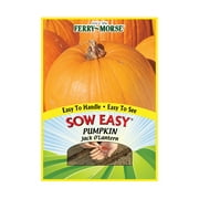 Ferry-Morse Pumpkin Jack O'Lantern Sow Easy Seeds