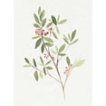 thumbnail image 2 of Warren, Annie 12x14 White Modern Wood Framed Museum Art Print Titled - Single Sprig IV, 2 of 4