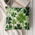 thumbnail image 3 of ST Patricks Day Hat Throw Pillow Covers, Lucky Blessed Decorations for Sofa Couch, 3 of 5