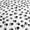 Big Paws, variant on Poly-Cotton Animal Paw Prints Fabric 58" Wide by 180"(5-Yards) for Arts, Crafts, & Sewing