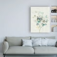thumbnail image 3 of Trademark Fine Art 'Eucalyptus III Vintage' Canvas Art by Danhui Nai, 3 of 3