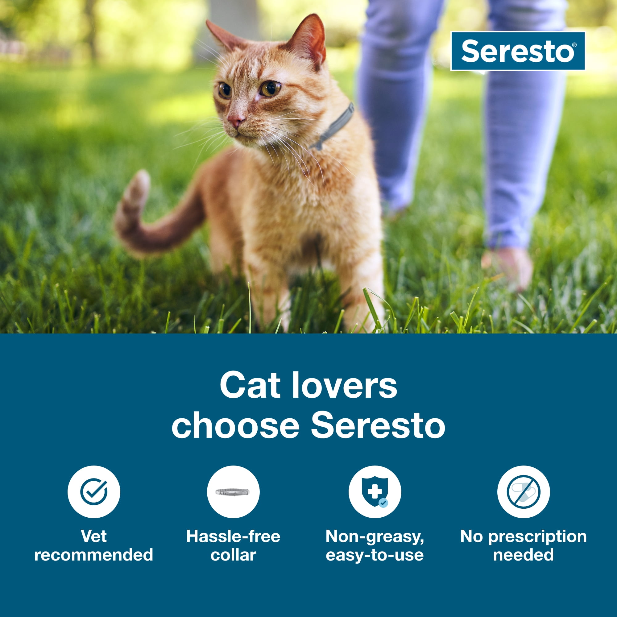 Seresto for Cats 8-Month Flea and Tick Prevention Collar 