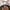 Coffee_New#576, variant on Coffee Brown Wooden Kitchen Spatula Spoon Set - Non-Stick Pan Friendly Cooking Utensils, Sleek Polished Design, Durable Eco-Friendly Kitchenware for Home Chefs, 1-Piece Versatile Wooden Serving Tool