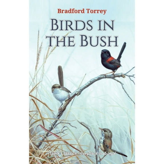 Birds in the Bush, (Paperback)