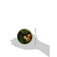 thumbnail image 2 of Cavendish & Harvey | Mixed Fruit Hard Candy Drops | 5.3 Ounce Tin, 2 of 2