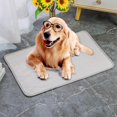 thumbnail image 1 of Alfombrilla refrigerante para mascotas para perros gatos, alfombrillas refrigerantes para perros de seda helada, manta refrigerante portátil y lavable para mascotas para perrera/sofá/cama/suelo/a, 1 of 4