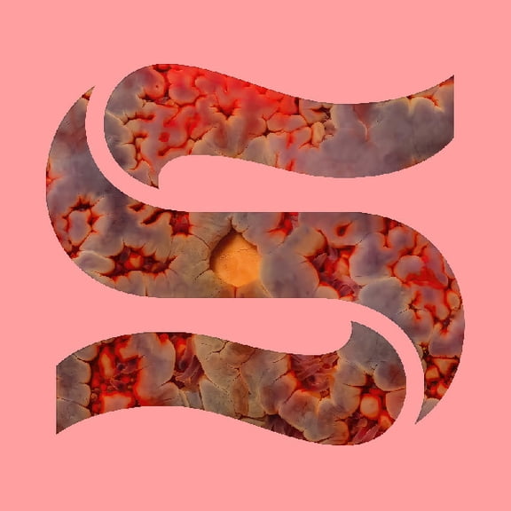 Smith,Kaitlyn Aurelia / Goddard,Joe - Neptunes - Music & Performance - Vinyl