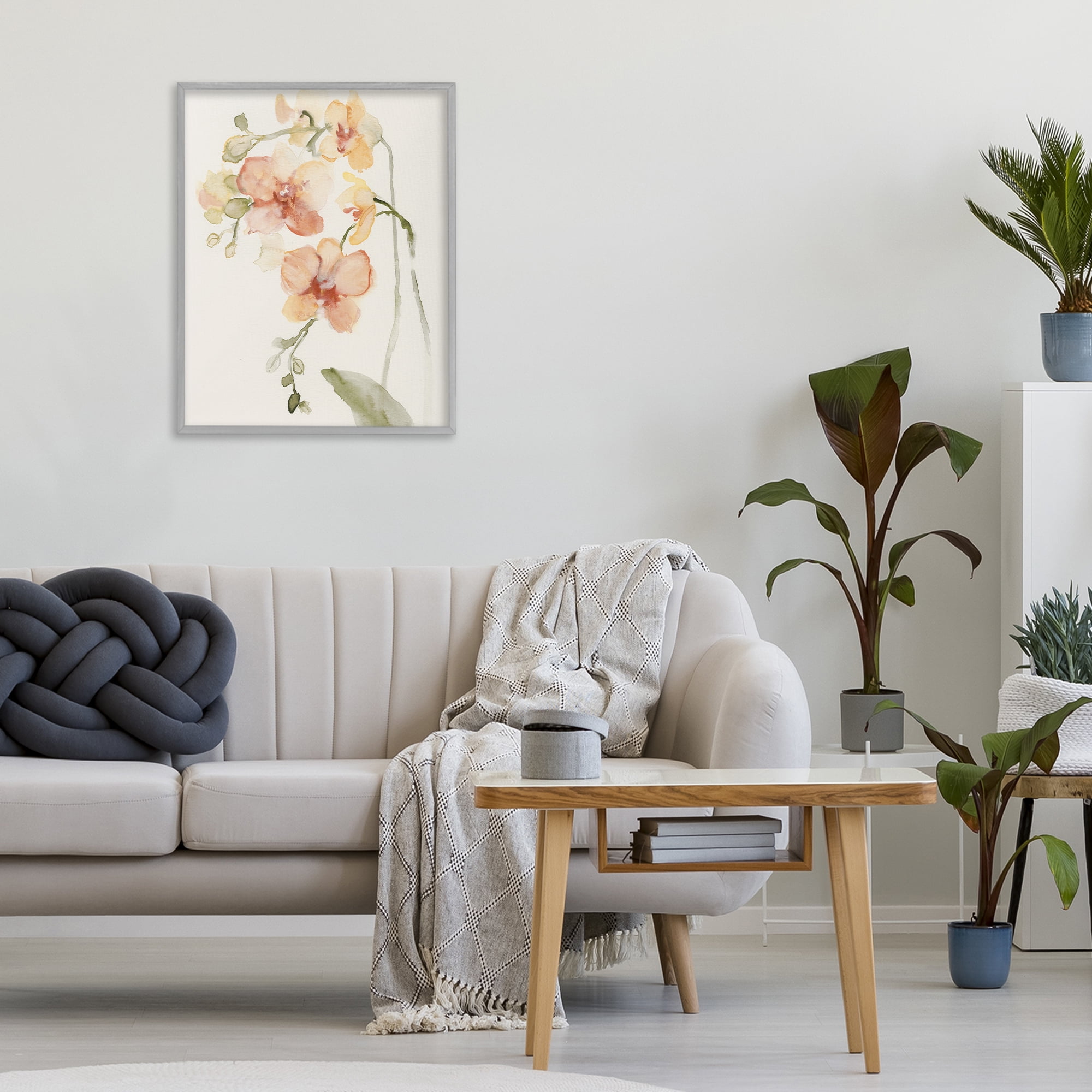 Stupell Industries Peach Orchid in Bloom Gray Framed Giclee Art, design by Victoria Barnes