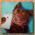 thumbnail image 3 of Epic Art 'Dog Selfie' by Lucia Heffernan, Acrylic Glass Wall Art, 36"x36", 3 of 7