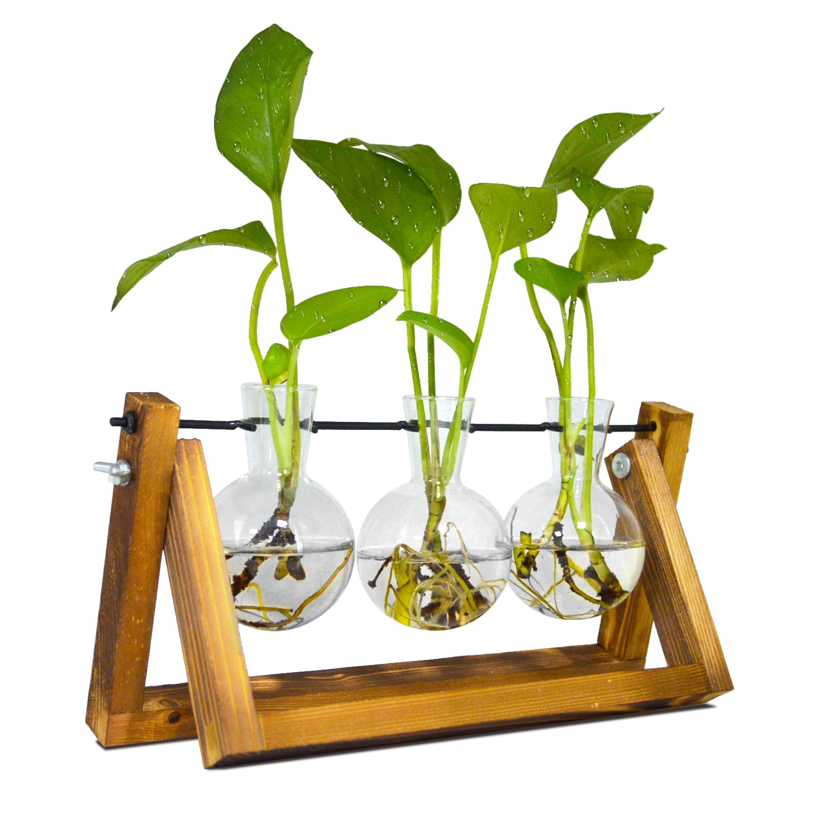 Plant Terrarium with Wooden Stand, Desktop Air Planter Bulb Glass Vase