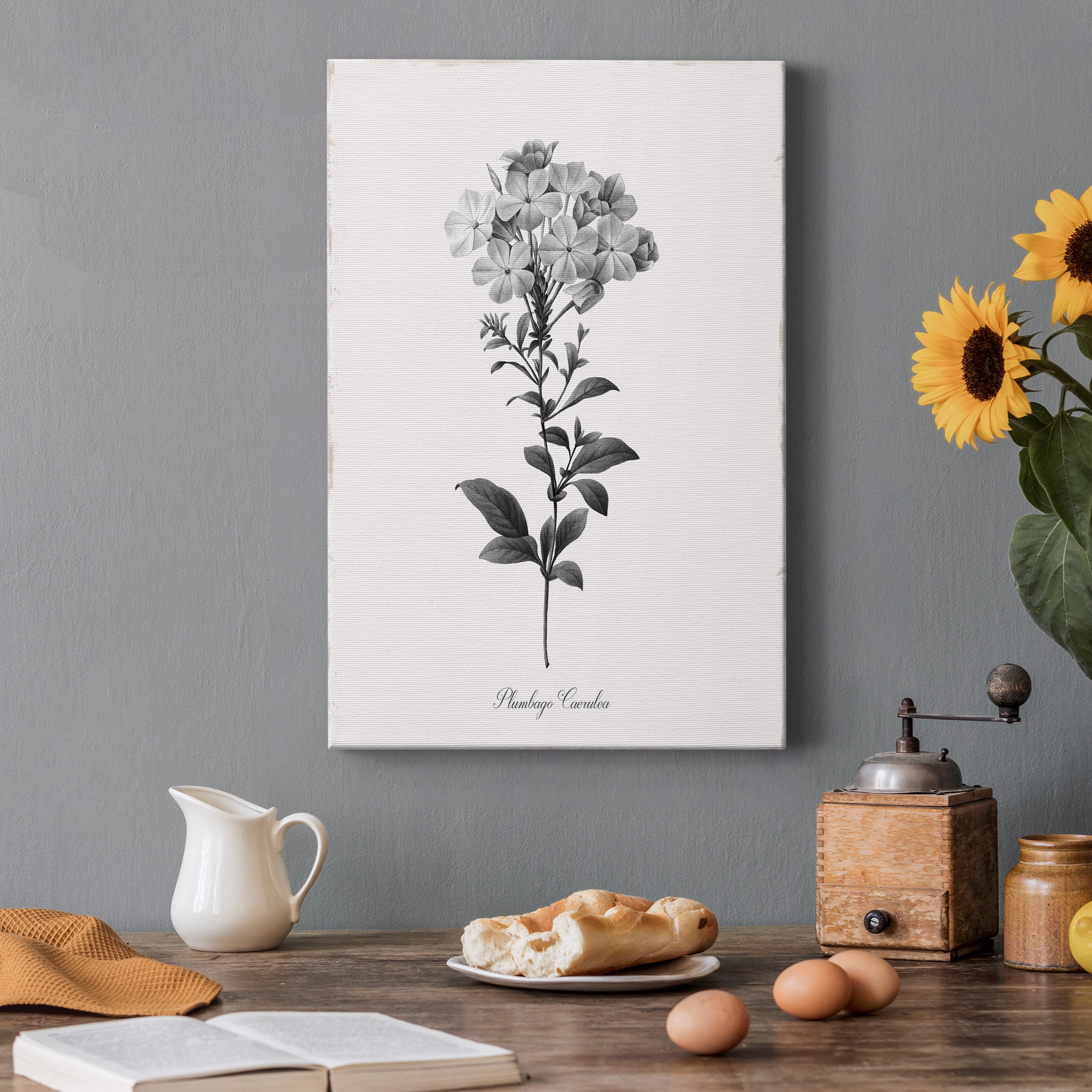 Simply Cape Leadwort Premium Gallery Wrapped Canvas - Ready to Hang - 18 x 27