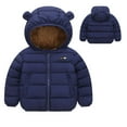 thumbnail image 2 of LIaqionyy Kids Winter Down Coats Boys Girls Lightweight Puffer Padded Jacket Hooded Outerwear Zipper up Down Coat, 2 of 5