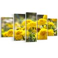 thumbnail image 2 of Bright Yellow Marigold Flowers - Floral Canvas Art Print, 2 of 3